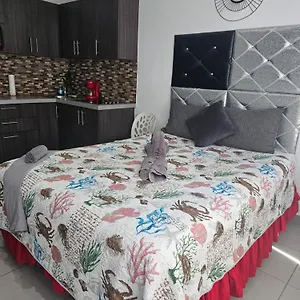 https://sea-breeze-vacation-ll.greaterantilleshotels.net